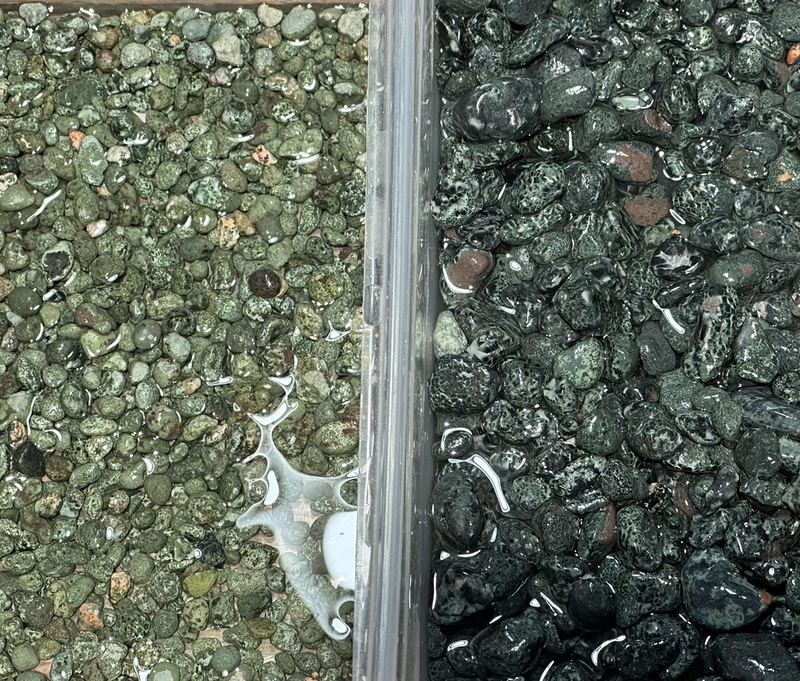 Origin comparison