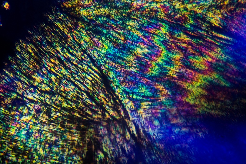 Chlorastrolite petrographic imaging